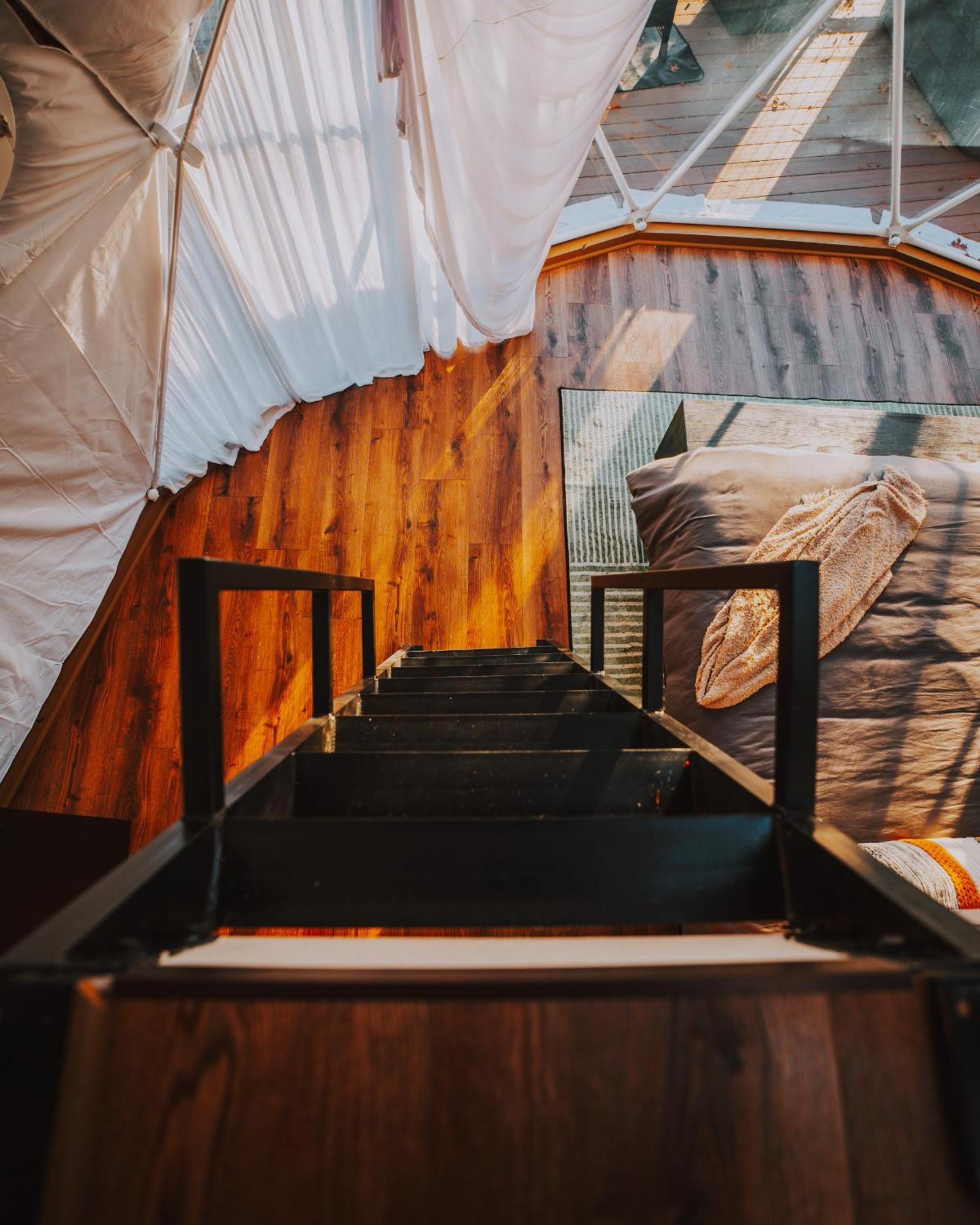 Hotel Starlight Haven *